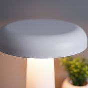 Mushroom touch lamp