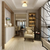 LED white ceramic minimalist ceiling light | VUZUSI