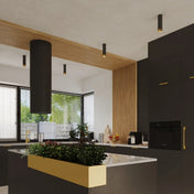 Black and gold cylinder minimalist ceiling light | ZAGIRE