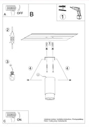 Black and gold cylinder minimalist ceiling light | ZAGIRE