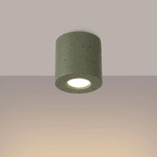 Concrete olive green minimalist LED ceiling light | TIPUL