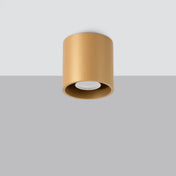 Gold cylinder design LED ceiling light | SAMOSO