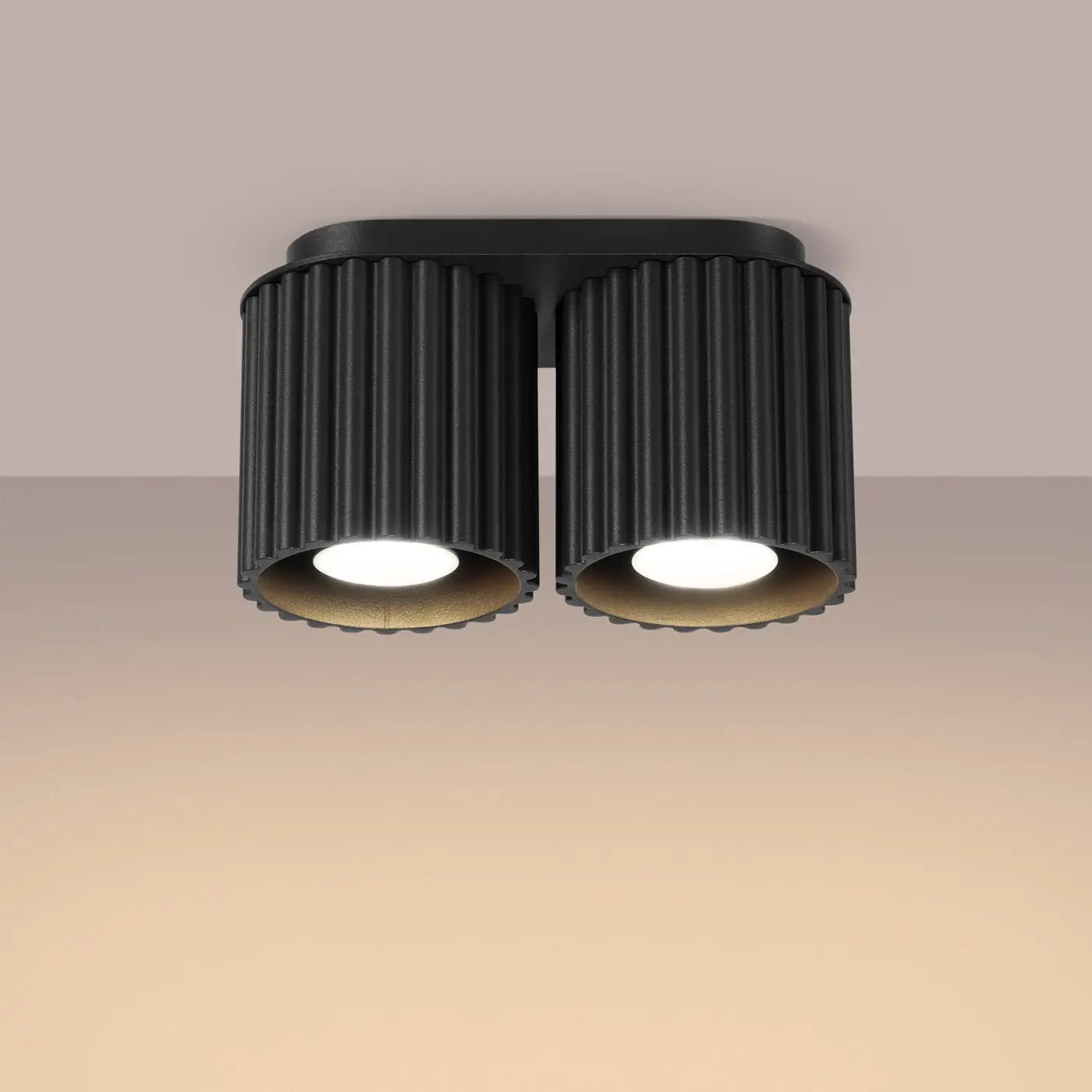 Black aluminium twin-spot LED ceiling light | VAMA