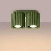 Modern olive green aluminium twin-spot LED ceiling light | NIHEVE