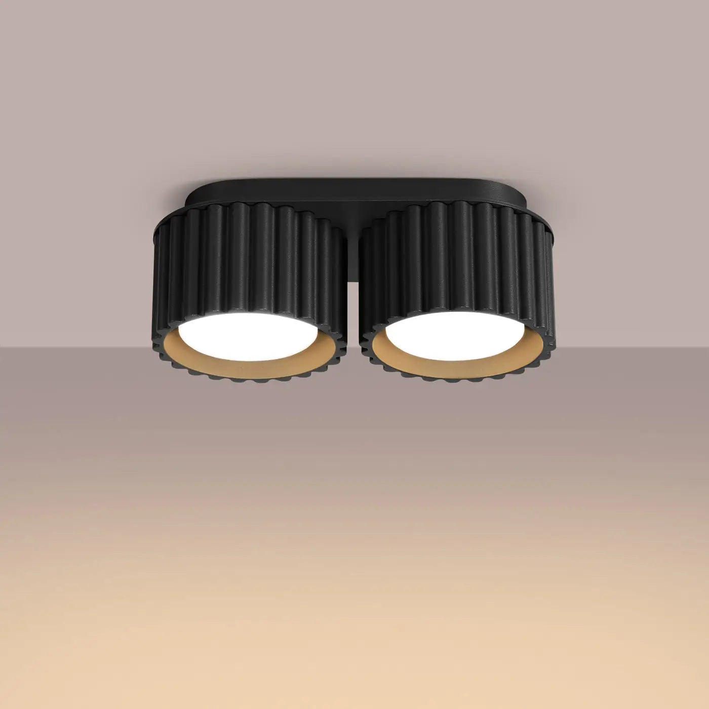 Black aluminium twin-spot LED ceiling light | VAMA