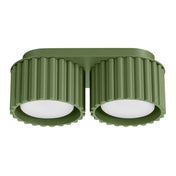 Modern olive green aluminium twin-spot LED ceiling light | NIHEVE