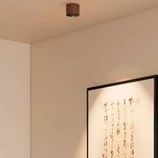 Modern aluminium LED ceiling light | RIBEMUR