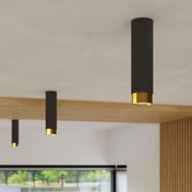 Black gold cylinder minimalist ceiling light | ZENU