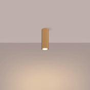 Modern gold aluminium LED ceiling light | DEDEMO
