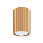 Scandinavian gold minimalist LED ceiling light | RORIK