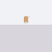 Scandinavian gold minimalist LED ceiling light | RORIK