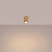 Scandinavian gold minimalist LED ceiling light | RORIK