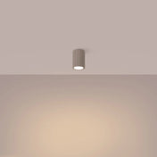 Scandinavian taupe minimalist LED ceiling light | HEHA
