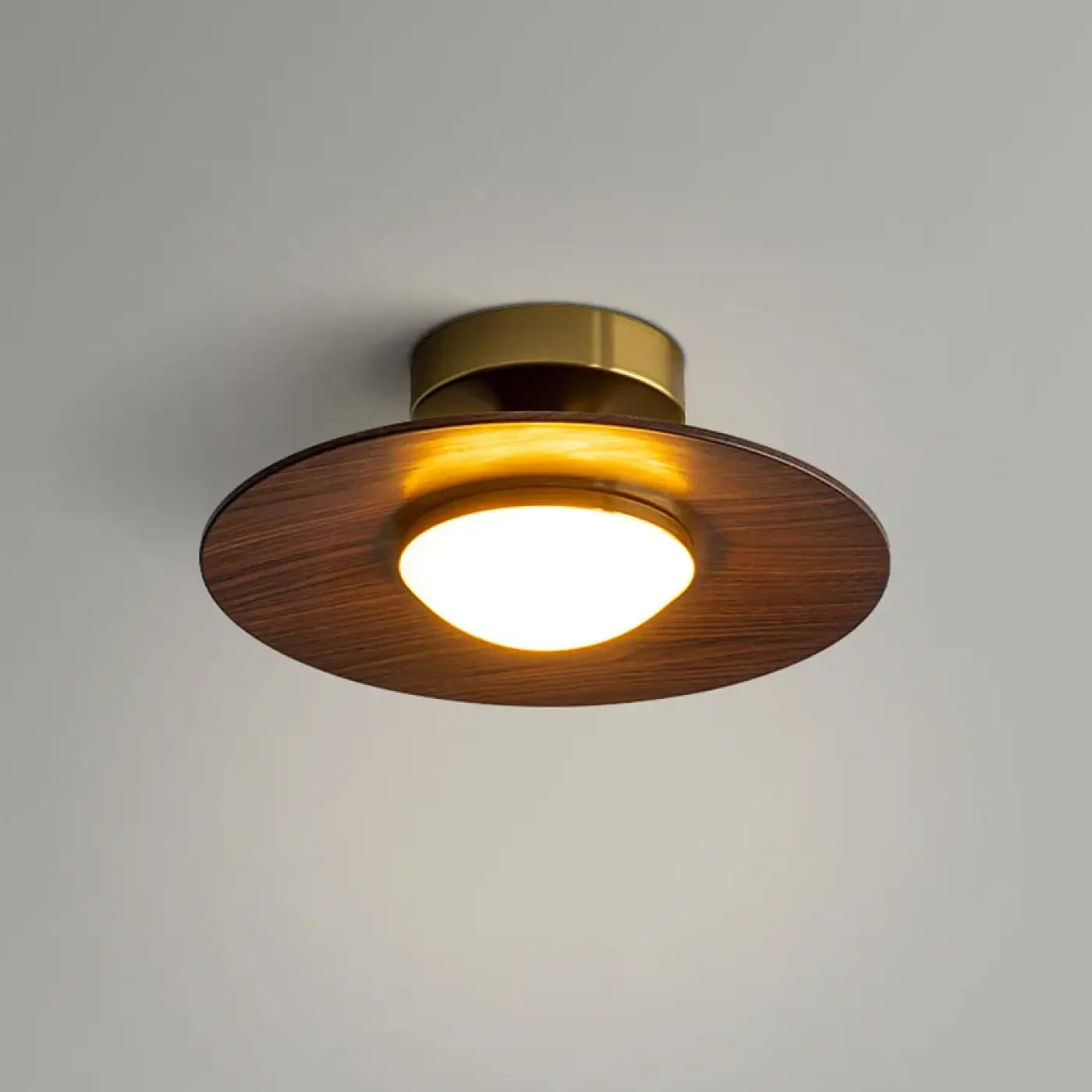 Brown metal and acrylic design ceiling light | HOBIMO