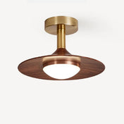Brown metal and acrylic design ceiling light | HOBIMO