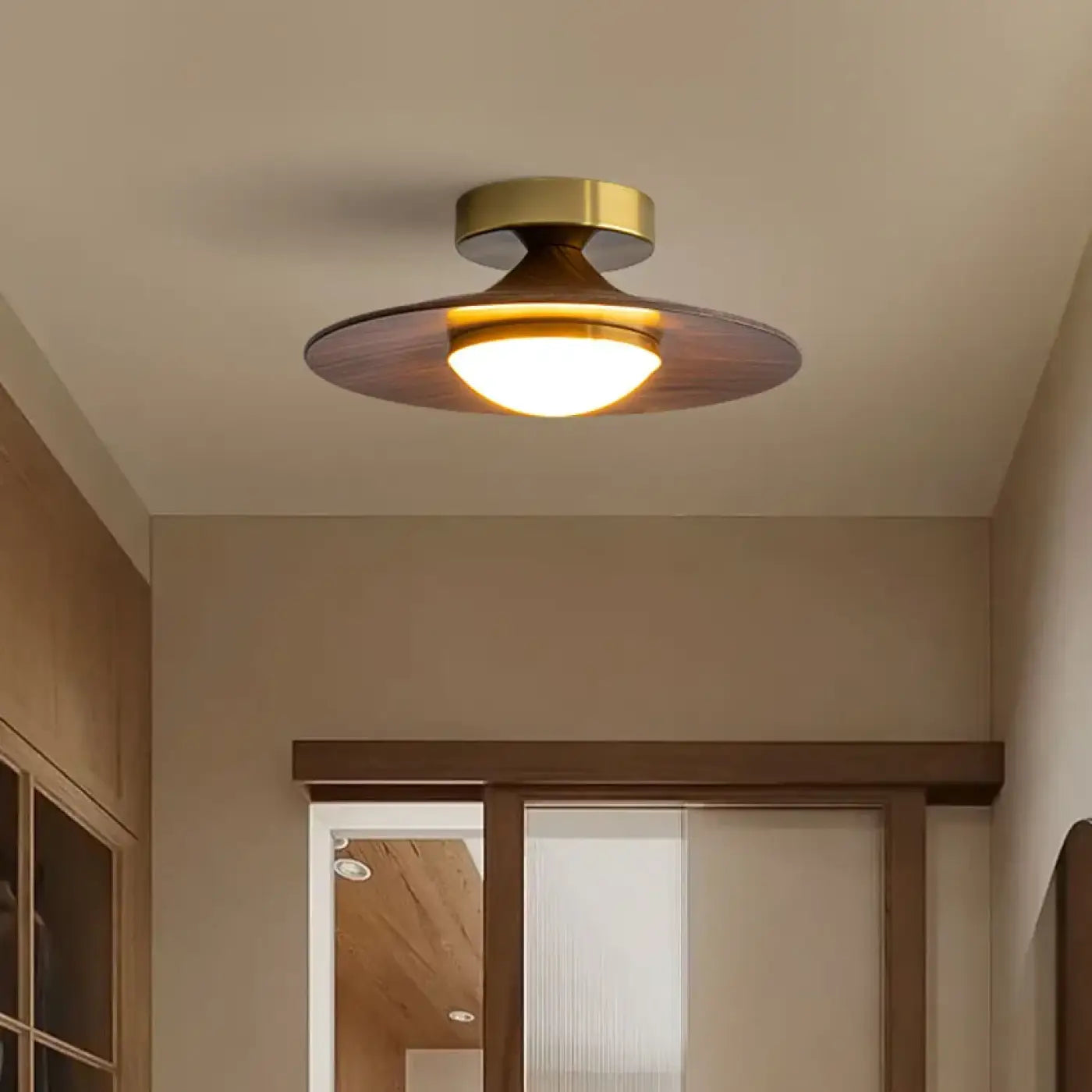 Brown metal and acrylic design ceiling light | HOBIMO