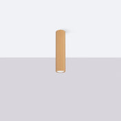 Minimalist gold aluminium LED ceiling light | TINUNAN