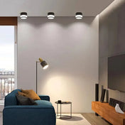 Modern black and white cylindrical LED ceiling light | DUGUS