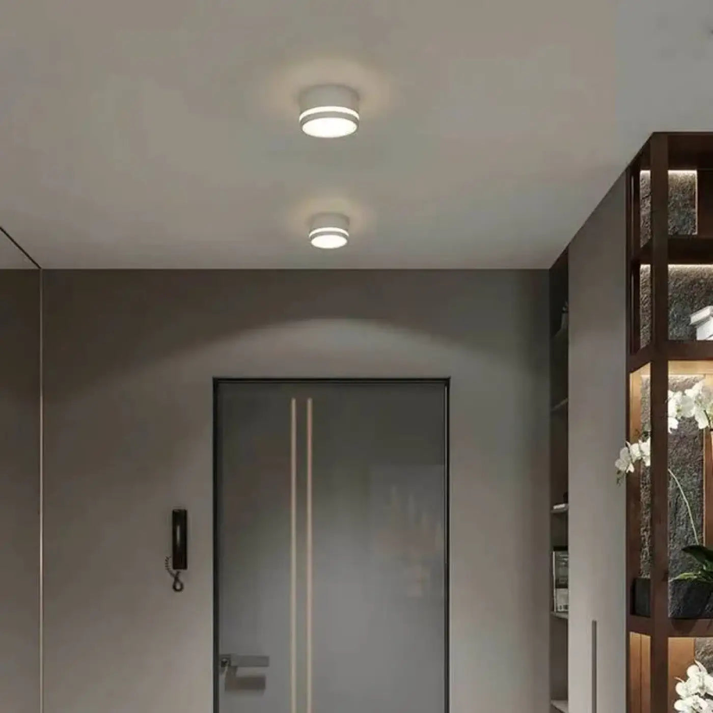 Round minimalist black or white ceiling light IP65 | DIGALA