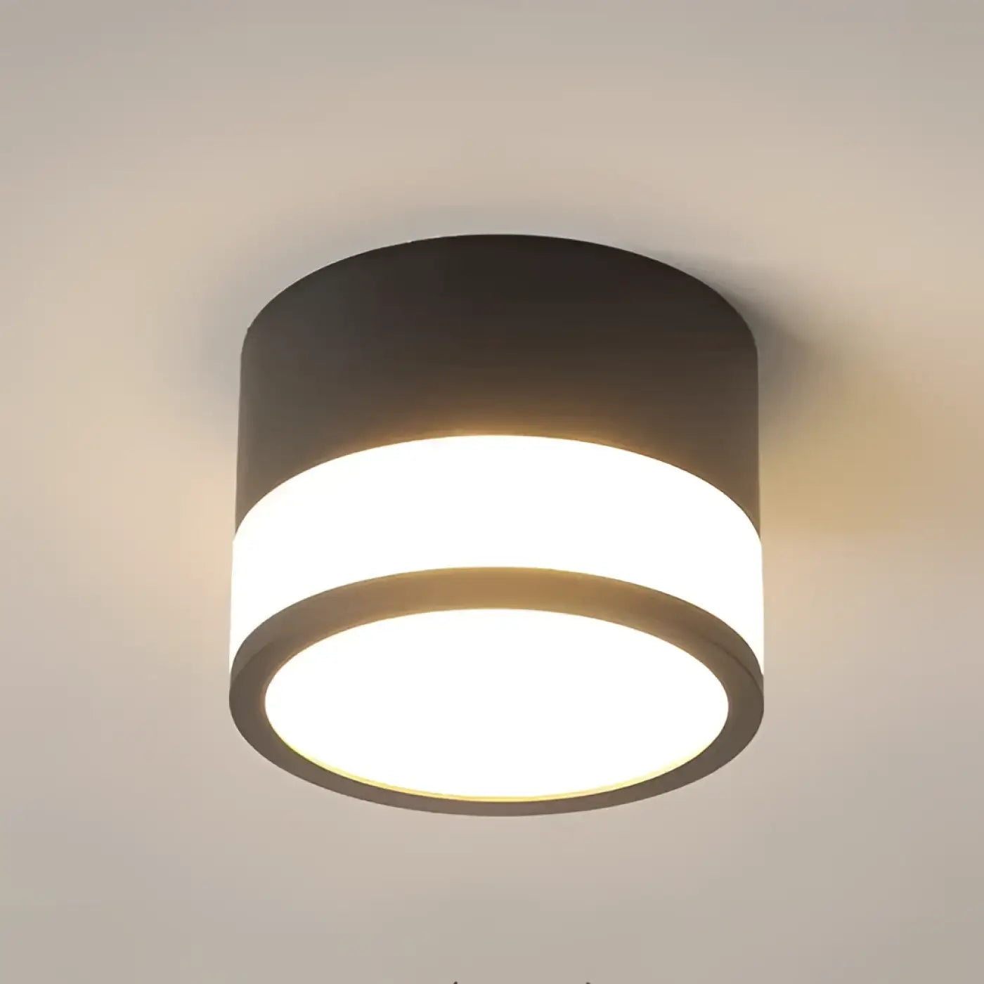 Nordic metal black white minimalist ceiling light | SAZENU